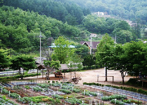 한터 조랑말농장 체험사진1