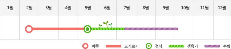 가지는 2월에 파종하여 5월에 정식하고 생육기를 거처 7월부터 10월초까지 수확