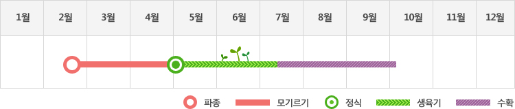 고추는 2월에 파종하여 5월에 정식하고 생육기를 거처 7월부터 10월초까지 수확