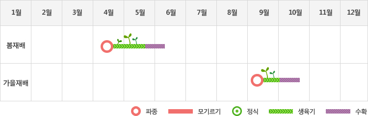 쑥갓은 여름재배시 4월중순에 파종하여 생육기를 거처 5월말부터 6월초까지 수확
가을재배시 9월초에 파종하여 생육기를 거처 10월에 수확