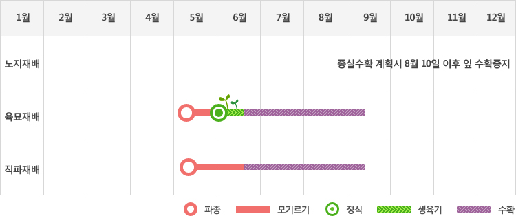 잎들깨는 노지재배시 종실수확 계획시 8월 10일 이후 잎 수확중지
육모재배시 5월초에 파종하여 6월초에 정식하고 생육기를 거처 6월중순에서부터 9월중순까지 수확
직파재배시 5월초에 파종하여 모기르기를 거쳐 6월중순에서부터 9월중순까지 수확