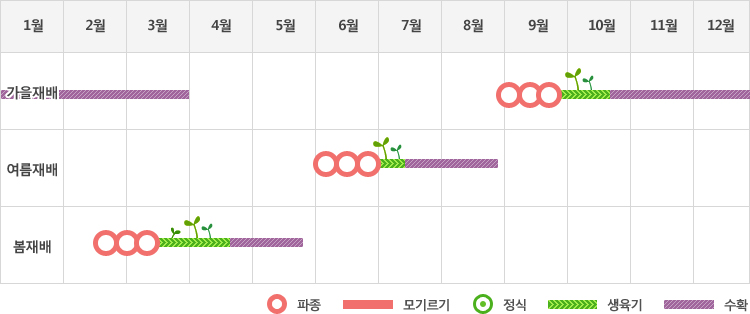 시금치는 가을재배시 9월에 파종하여 생육기를 거처 10월말부터 이듬해 3월말까지 수확
여름재배시 6월에 파종하여 생육기를 거처 7월중순에서부터 8월말까지 수확
봄재배시 2월중순부터 3월중순까지 파종하여 생육기를 거쳐 4월말에서부터 5월중순까지 수확