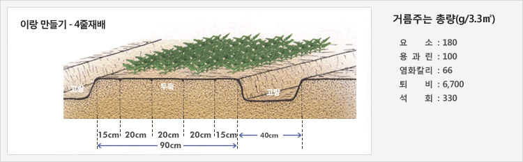 이랑 만들기(4줄재배) - 40cm의 고랑을 만들고 90cm의 두둑에 재배
거름주는 총량(g/3.3㎡) - 요소: 180, 용과린: 100, 염화칼리: 66, 퇴비: 6,700, 석회: 330