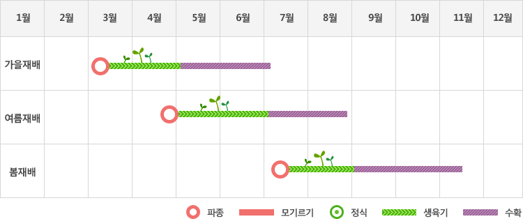 근대는 봄재배시 3월초 파종하여 생육기를 거쳐 7월초까지 수확
여름재배시 4월말에 파종하여 생육기를 거처 7월초에서부터 8월말까지 수확
가을재배시 7월중순에 파종하여 생육기를 거처 9월초에서부터 11월중순까지 수확