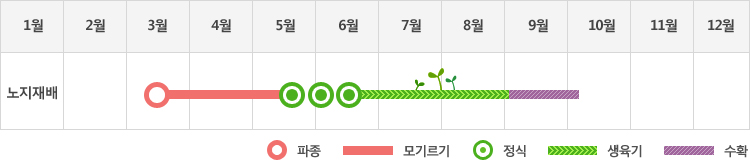 고구마는 노지재배시 3월중 파종하여 5월말에서 6월말에 정식하고 생육기를 거쳐 9월초부터 10월초까지 수확