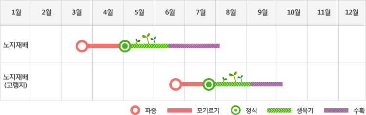 오이는 노지재배시 3월말 파종하여 5월초에 정식하고 생육기를 거쳐 6월중순부터 8월초까지 수확
노지재배(고랭지)시 6월말 파종하여 7월말에 정식하고 생육기를 거쳐 9월초부터 10월초까지 수확