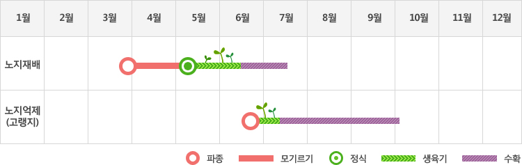 호박은 노지재배시 3월말 파종하여 5월초에 정식하고 생육기를 거쳐 6월중순부터 7월중순까지 수확
노지재배(고랭지)시 6월말 파종하여 생육기를 거쳐 7월중순부터 10월초까지 수확