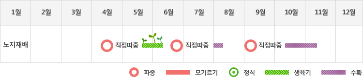 갓은 노지재배시 4월중순에 파종하여 5월중순에서 6월중순까지 생육기를 거쳐 8월초에 수확하고 9월초에 파종하여 11월중순에 수확