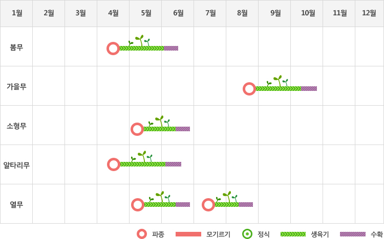 무는 봄무재배시 4월중순에 파종하여 생육기를 거쳐 8월초에 수확
가을무재배시 8월말에 파종하여 생육기를 거처 10월중하순에 수확
소형무재배시 5월초에 파종하여 생육기를 거쳐 6월중하순에 수확
알타리무는 4월중순에 파종하여 생육기를 거쳐 6월초중순에 수확
열무는 5월초에 파종하여 생육기를 거쳐 6월중하순에 수확, 7월중순에 파종하여 생육기를 거쳐 8월중하순에 수확