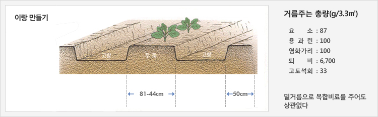 이랑 만들기 - 고랑 50cm를 만들고 두둑 81-44cm에 재배
거름주는 총량(g/3.3㎡) - 요소 : 87, 용과린 :  100, 염화가리 : 100, 퇴비 : 6,700, 고토석회 :  333, 밑거름으로 복합비료를 주어도 상관없다.