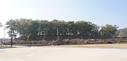 처인성 전경