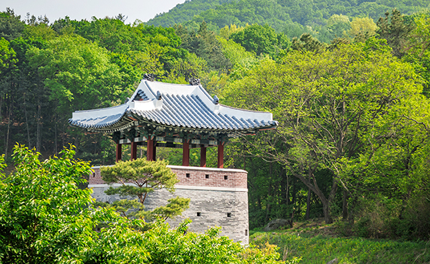 용인대장금테마파크 사진