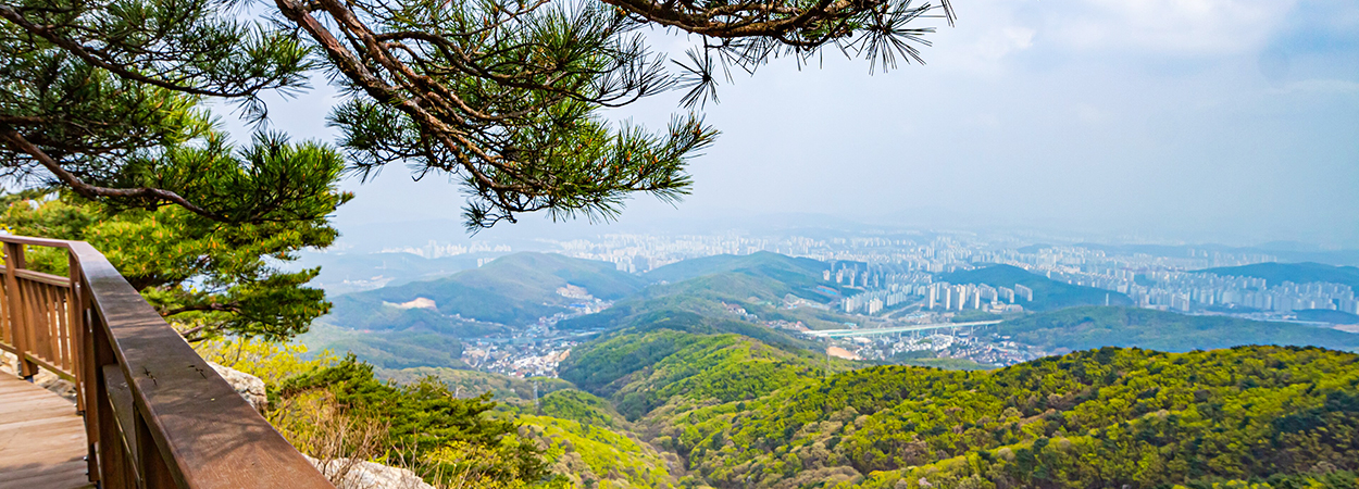 광교산 사계 사진