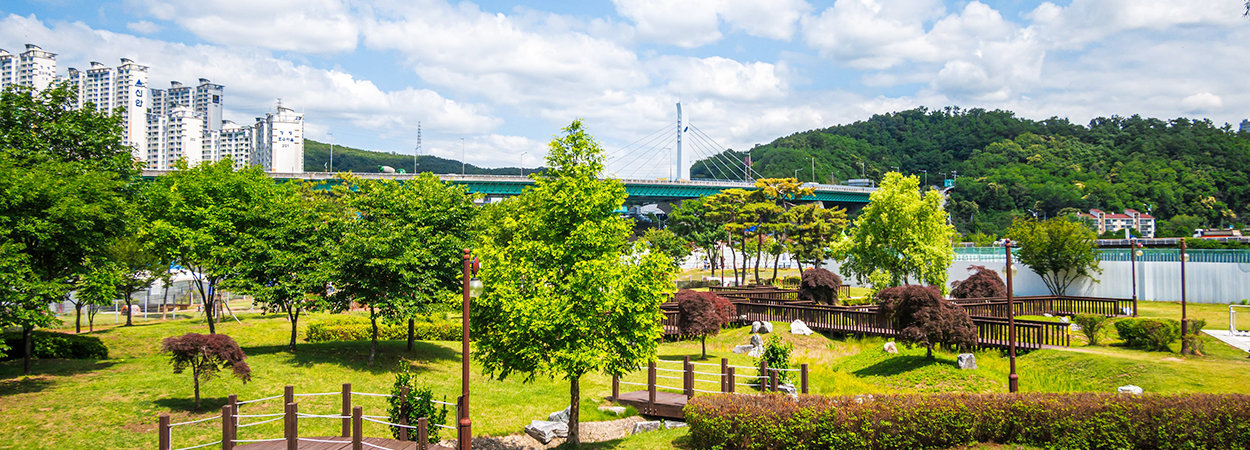 기흥호수공원 사진