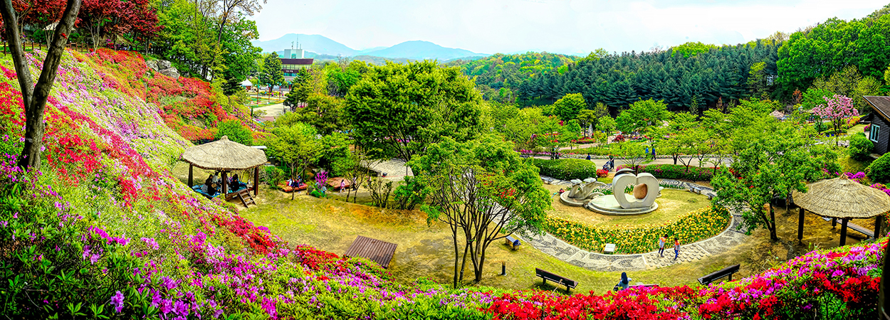 용인농촌테마파크와 연꽃단지 사진