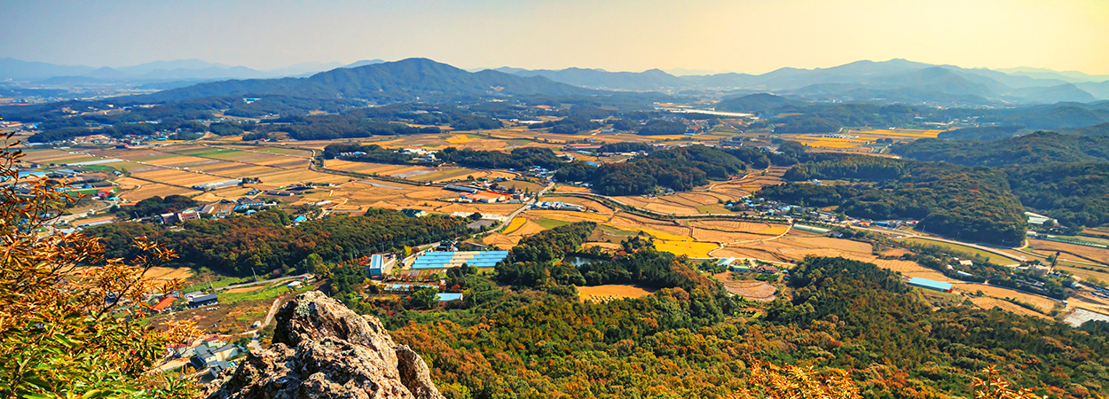 조비산 조망 사진