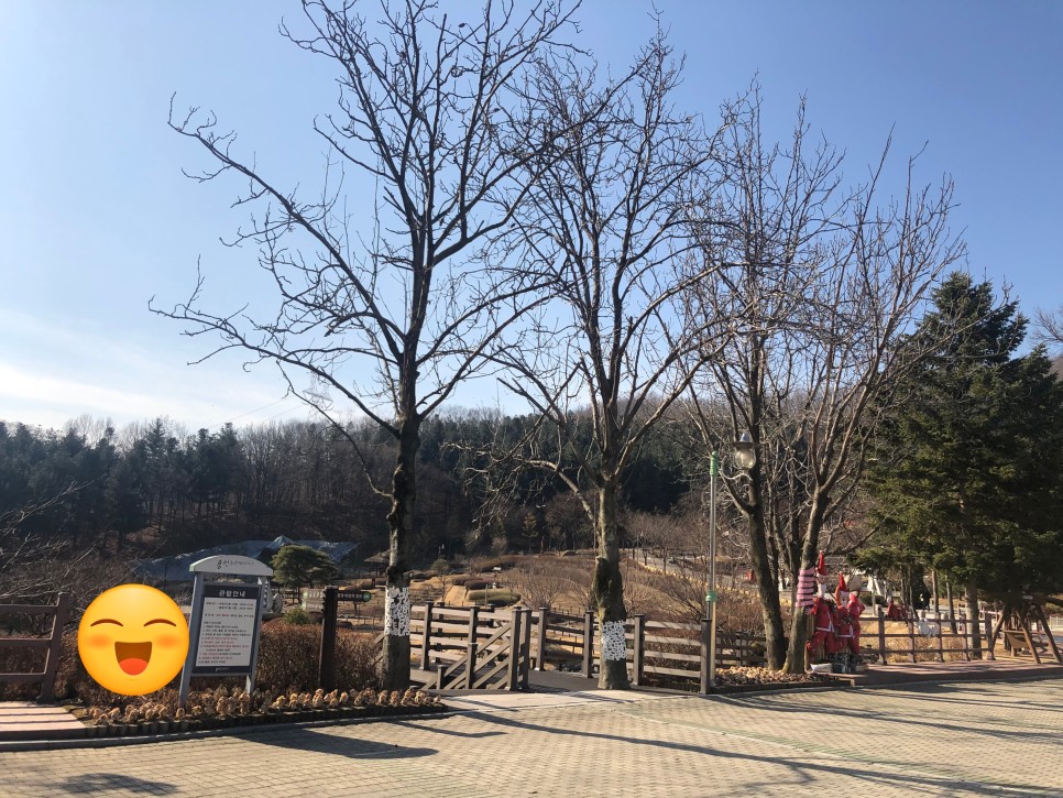 용인농촌테마파크 사진