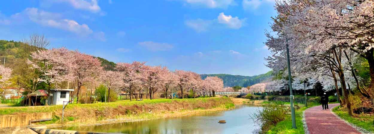 경안천변 자전거도로 사진