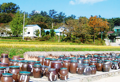 학일마을 사진