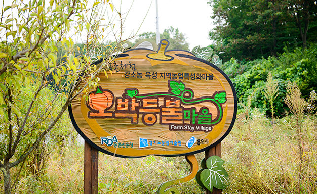 호박등불마을 사진