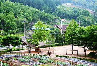 한터조랑말농장 사진
