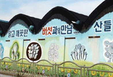 청정이원 사진