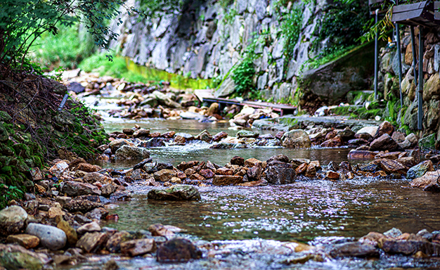 고기리계곡 사진