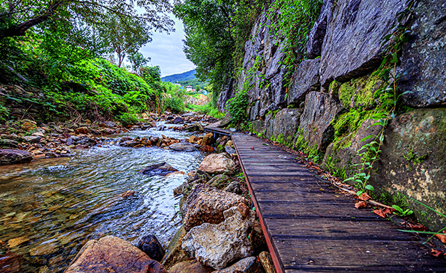 고기리계곡 사진