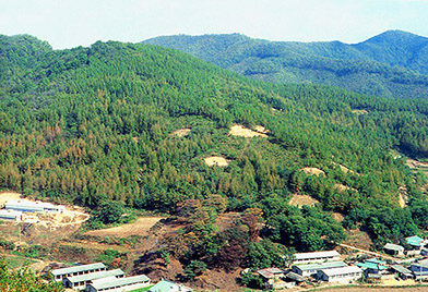 용인 서리 고려백자요지 사진