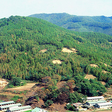 용인 서리 고려백자요지 사진